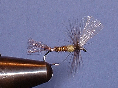 Crippled-B.W.O.-Emerger
