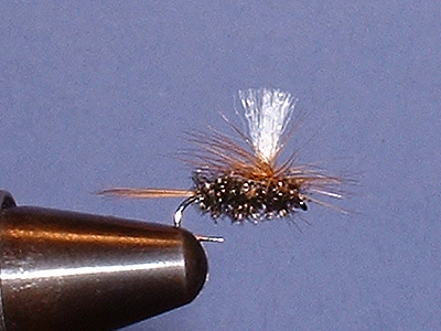 John Storey Parachute
