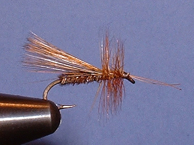 Leon Caddis