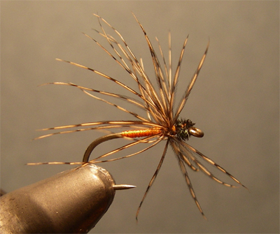 Pritt's No. 31, Brown Watchet