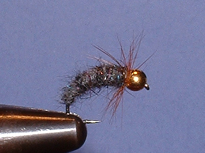 Ralli Spezial