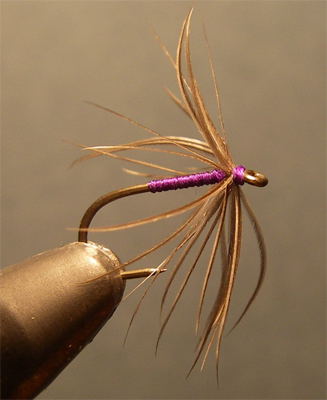 Snipe & Purple