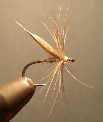 Waterhen Clyde Style