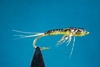 O.E. Baetis