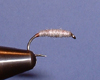 Killer Bug